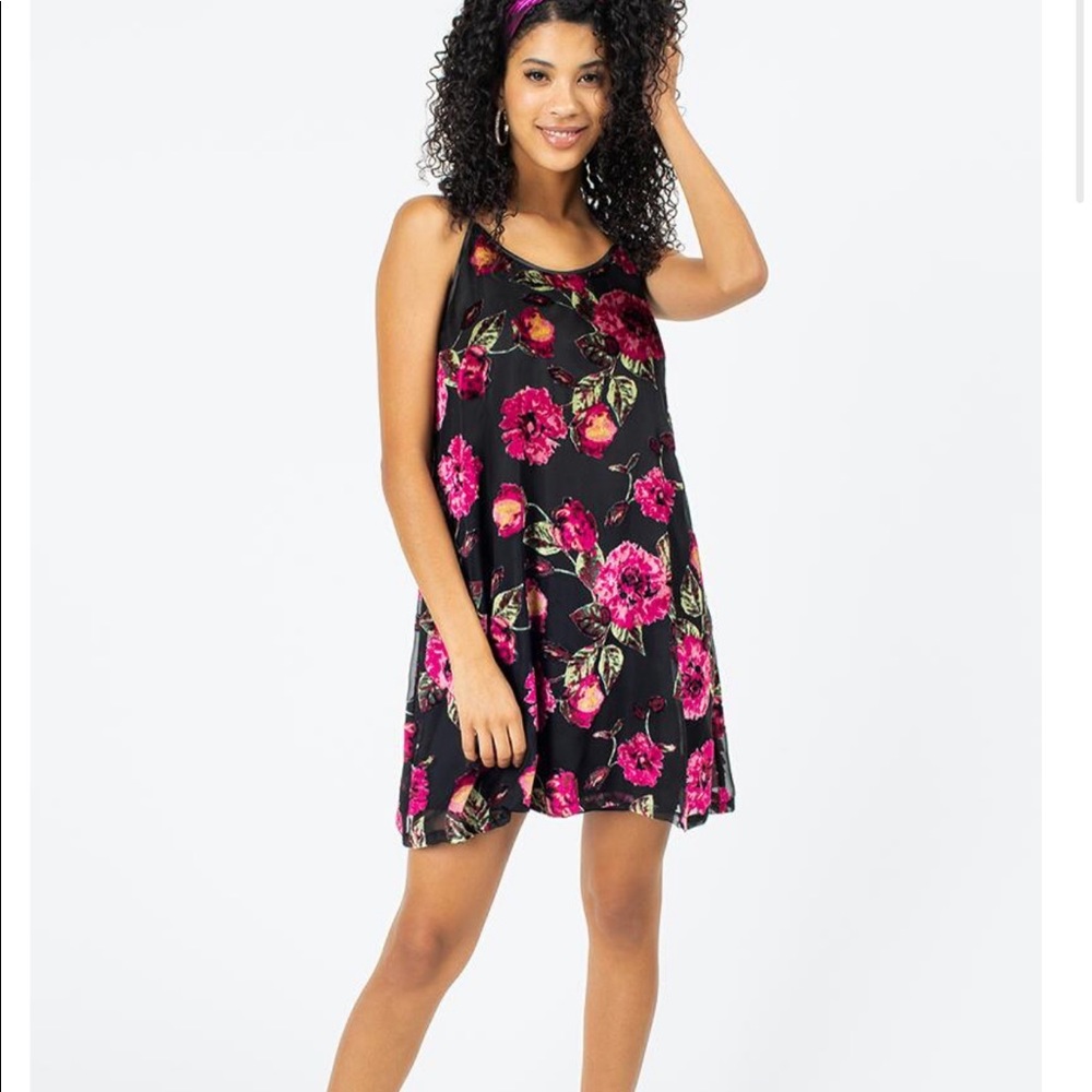 NWT Francescas dress